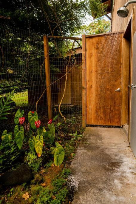 Jungle Haven Ocean Front Eco Villa On Fruit Farm Pahoa Buitenkant foto