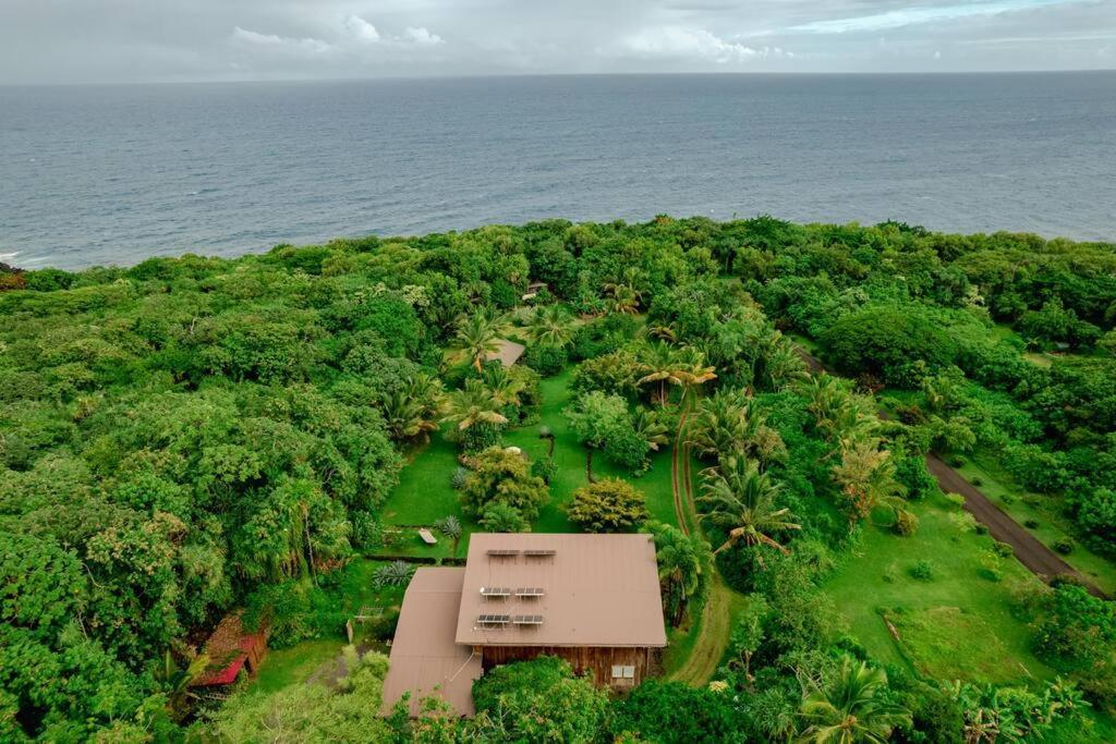 Jungle Haven Ocean Front Eco Villa On Fruit Farm Pahoa Buitenkant foto