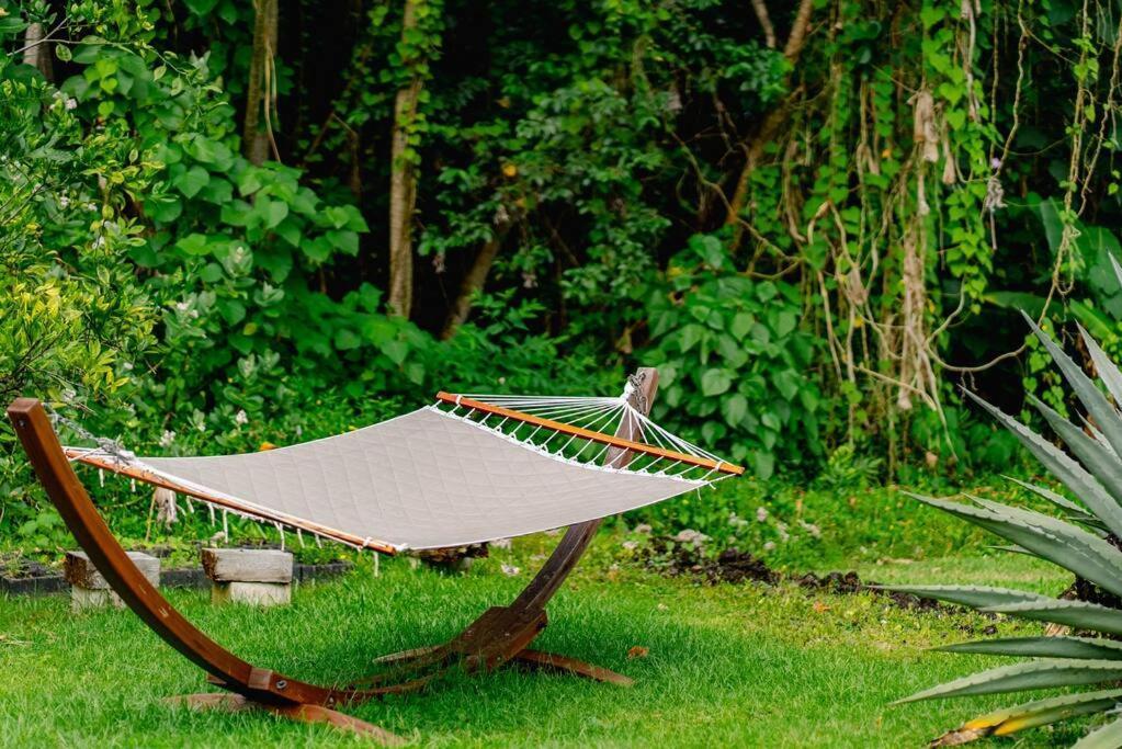 Jungle Haven Ocean Front Eco Villa On Fruit Farm Pahoa Buitenkant foto