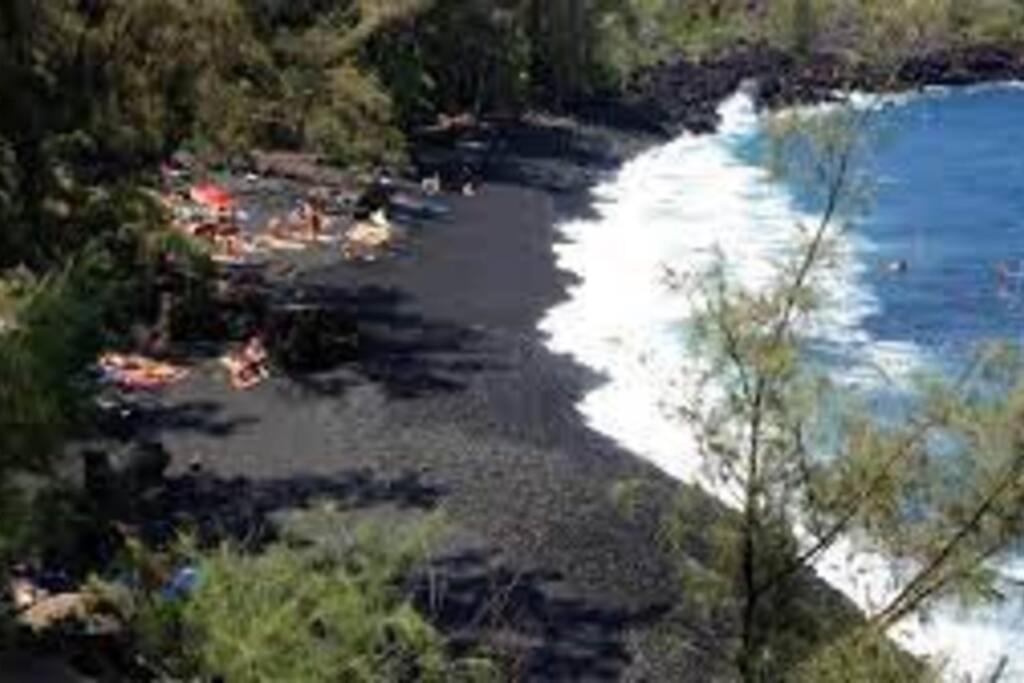 Jungle Haven Ocean Front Eco Villa On Fruit Farm Pahoa Buitenkant foto