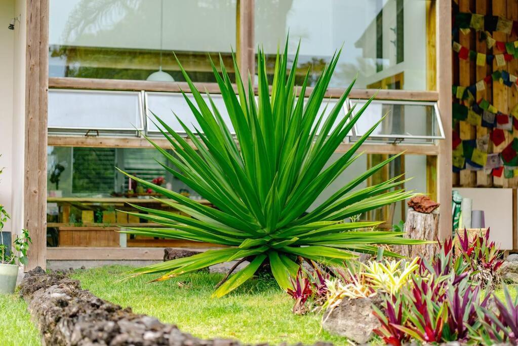 Jungle Haven Ocean Front Eco Villa On Fruit Farm Pahoa Buitenkant foto