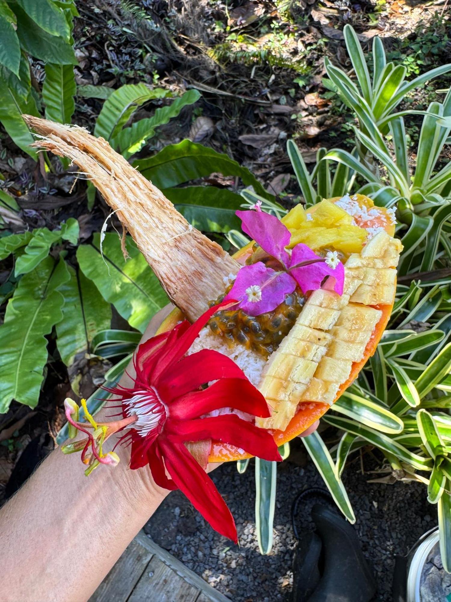 Jungle Haven Ocean Front Eco Villa On Fruit Farm Pahoa Buitenkant foto