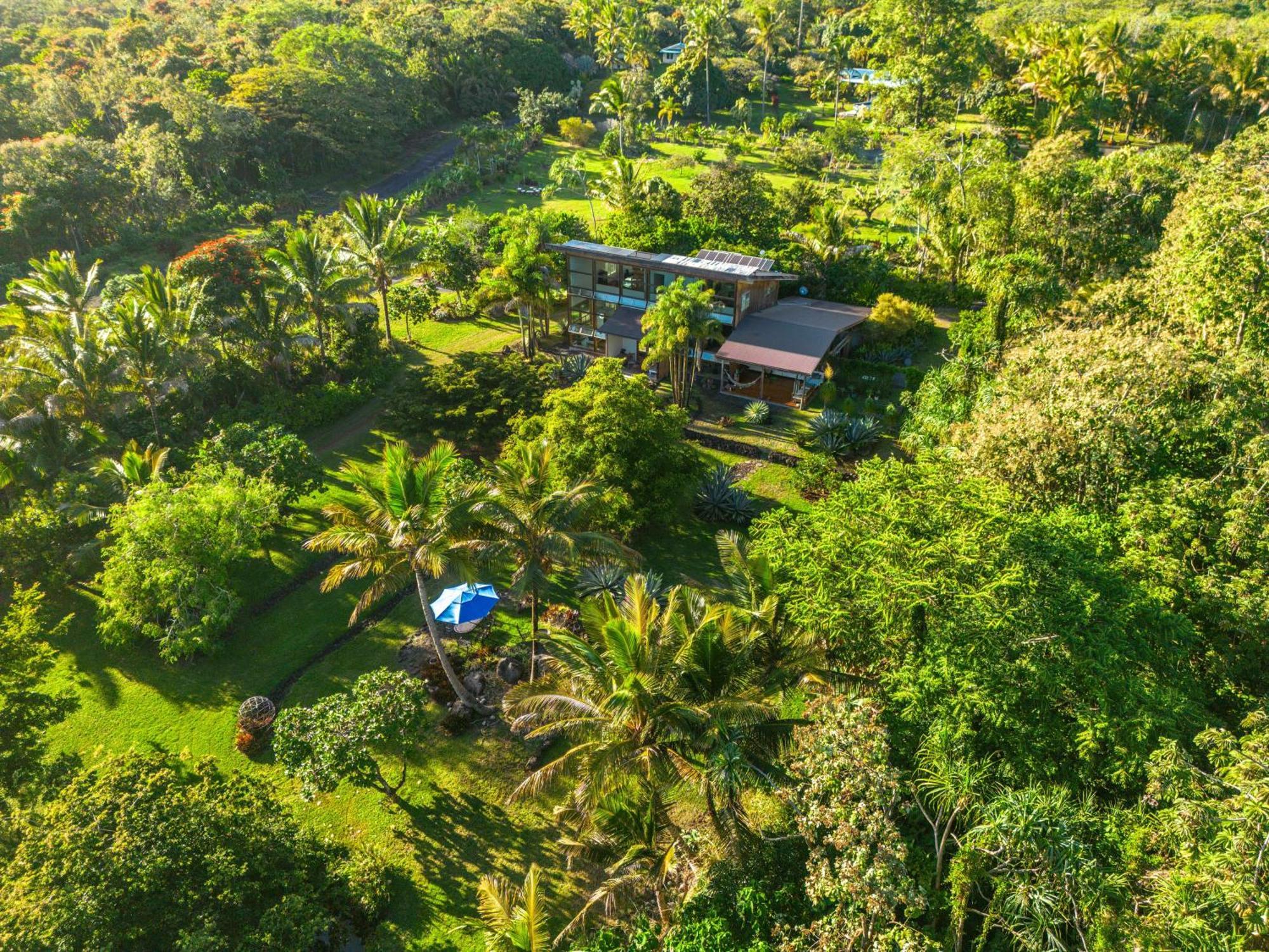 Jungle Haven Ocean Front Eco Villa On Fruit Farm Pahoa Buitenkant foto