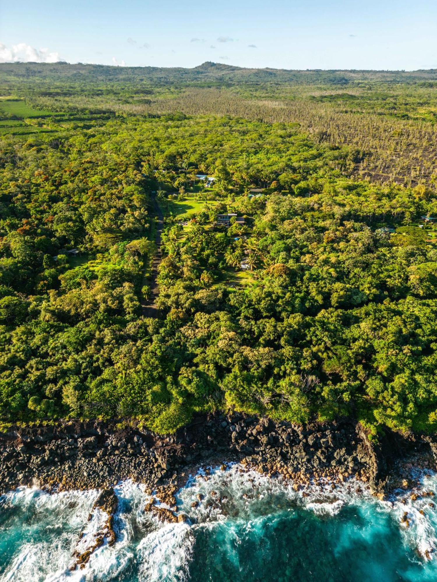 Jungle Haven Ocean Front Eco Villa On Fruit Farm Pahoa Buitenkant foto