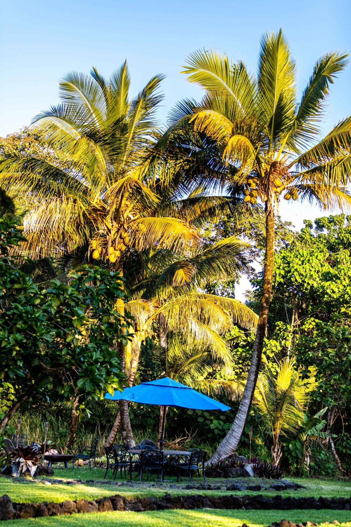 Jungle Haven Ocean Front Eco Villa On Fruit Farm Pahoa Buitenkant foto
