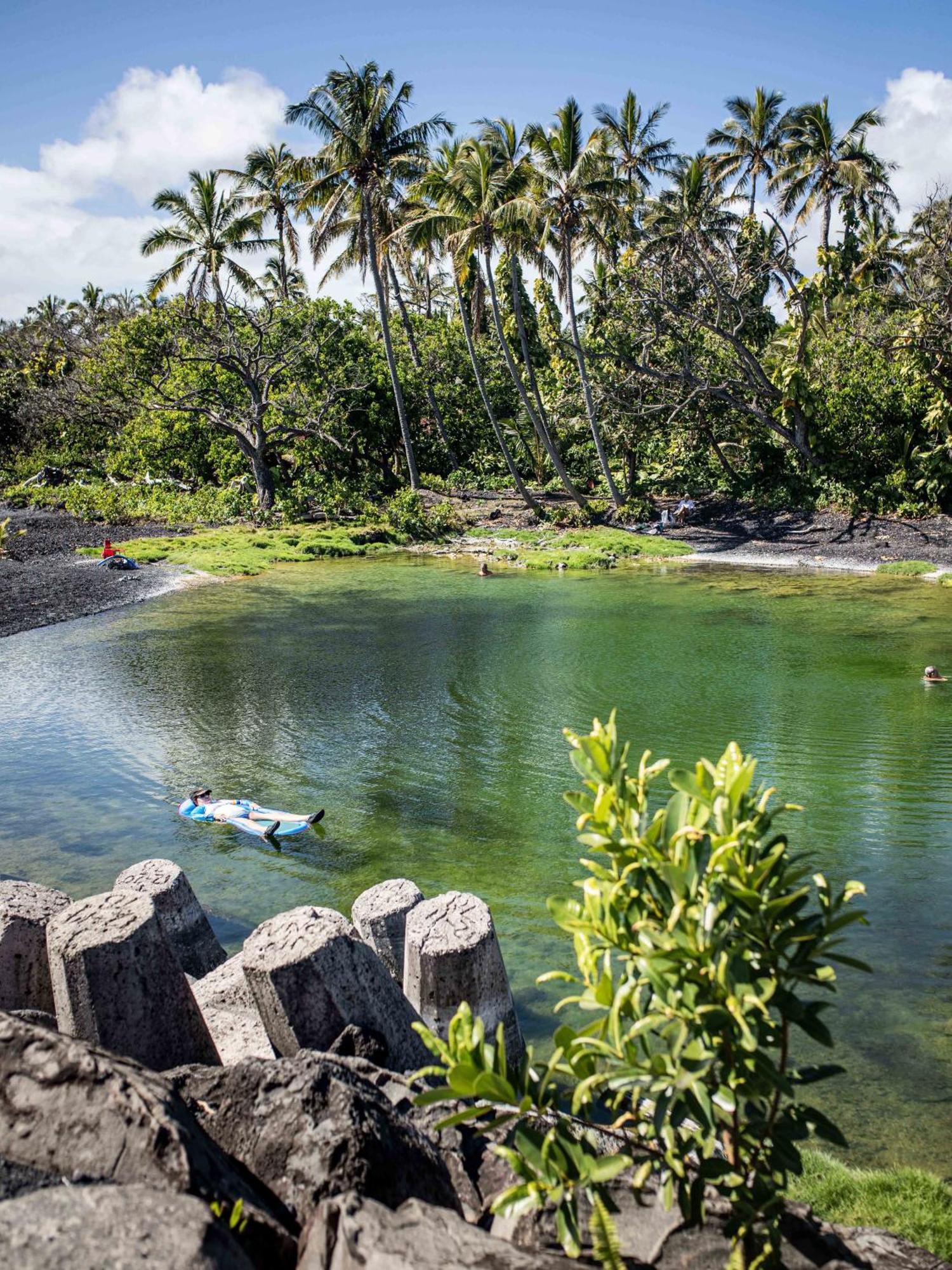 Jungle Haven Ocean Front Eco Villa On Fruit Farm Pahoa Buitenkant foto